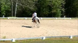 Sarah & Pickles: BN Test B
