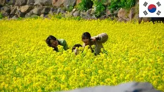 ASÍ ES la ISLA DE JEJU, COREA | COREA DEL SUR #12