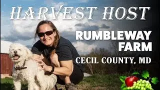Harvest Host Free Camping at Rumbleway Farm in Maryland