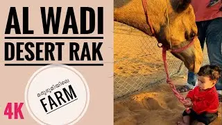 Al wadi desert,Ras al khaimah/മരുഭൂമിയിലെ Farm #4k