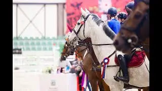 Боевое настроение на CSI 1* J/Y/Ch в MAXIMA PARK!