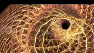 Diffusion en direct de DJAstro