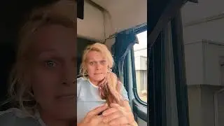 Trucker Humor: Waking Up Not Yet a Viral Sensation#TruckerLife #Humor #SocialMediaGoals