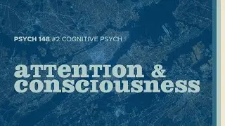 Stop, Look, Listen | Attention & Consciousness (Cognitive Psych #2)