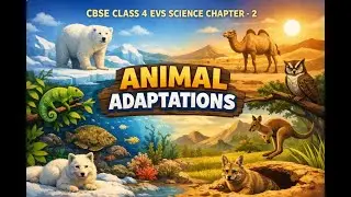 CBSE CLASS 4 EVS Science Chapter 2   Animal Adaptations   Part 2