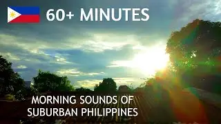 ANXIETY RELIEF ANTI-STRESS RELAXING AND CALMING MORNING SOUNDS OF SUBURBAN PHILIPPINES (1+ HOURS)