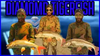 Catching Diamond African Tiger Fish