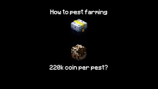 (Hypixel skyblock)pest farmingのやり方と必要な装備を紹介する動画