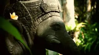 Ashtanga Yoga Bali Research Center