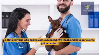 How Can Local Service Ads Help Your Veterinary Practice Avoid Slow Days for Good