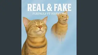 Real & Fake