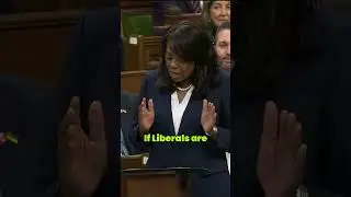 Liberal Bail Laws Fail Canadians - Conservative MP Calls Out Government!