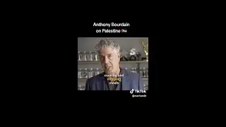 Anthony Bourdain On Palestine
