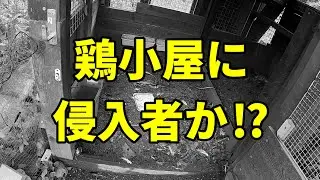 【愕然】定点カメラにとんでもない瞬間が映っていました… 336話目