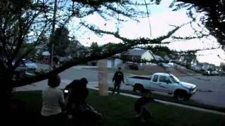 Funny penguin prank