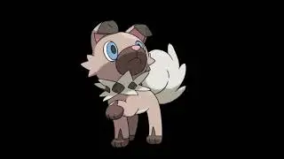 I Think The Pokemon Company Should Reveal An Official Rockruff Mascot Costume #request #pokemon
