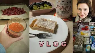 Falešný kremeš | Nápoj z šípků | Nákup Kaufland & Penny | Lampionový průvod | VLOG