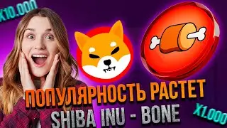 ⚠️СРОЧНО⚠️ РЕСКИЙ СКАЧОК ПОПУЛЯРНОСТИ SHIBA И BONE | МИЛЛИОНЕРЫ СКУПАЮТ КРИПТУ