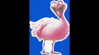 This Ugly Bird #ugly #bird #flamingo #pinkbird #funny #didyoulaughtoday #birds
