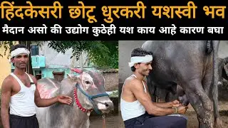 हिंदकेसरी छोटू धुरकरी यशस्वी भव | एकाही मैदानात गुलाल न घेता परतलो नाही बघा छोटू भाई काय म्हणतात