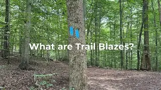 Trail Blazes Are a Type of Trail Marker. Here&rsquo;s What You Need to Know.