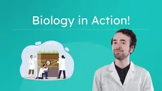 Biology in Action! - Types of Investigations in Life Science