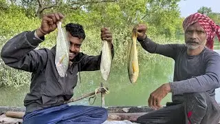 সুন্দরবন নাদীতে ডুব খয়রা জাল পেতে ভালোই মাছ পেলাম!!!
