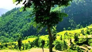 Rupkund Trek Bedni Bugyal in 4K