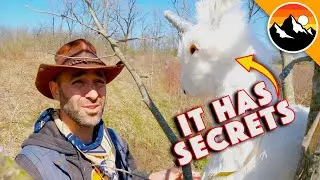 Wild Unicorns?! - Earth Day Adventure with TNC