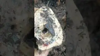 How to clean and prepare bones for crafting Part 2
