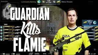 CS:GO IEM San Jose Highlight Clip | GuardiaN Kills Flamie (Teamkill)