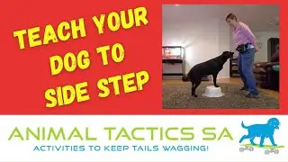 Teach Your Dog to Side Step - Advanced, Animal Tactics Level 2