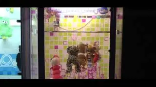Barber Cut Lite - Arcade Prize Redemption - PrimeTime Amusements