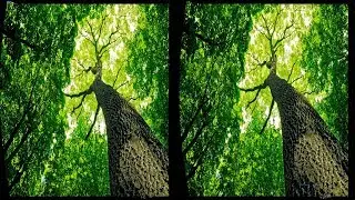3D EXTREME EFFECTS COLLECTION #00 (TEST) VR Videos 3D SBS Google Cardboard VR Virtual Reality VR Box