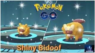 Shiny Bidoof | Bibarel | God Pok&eacute;mon | Shiny Evolution | Highest CP | Pok&eacute;mon Go  #shorts