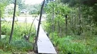 Homes for Sale - 313 Channel Trce Shawano WI 54166 - Bill Hamann