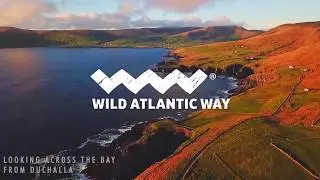 Driftwood - St Finian's Bay - Coming 2020