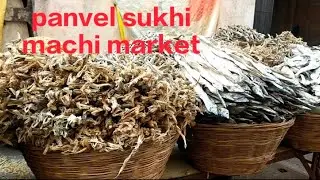 panvel sukhi macchi market ( dry fish market ) || swapna vlog