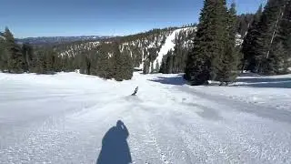 Riding Golden Nugget at Dodge Ridge ski resort!