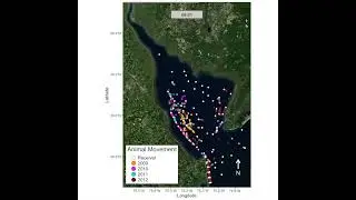 Aggregated Sand Tiger Shark Movement (2009-2012)