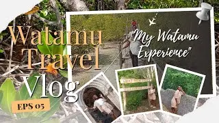 WATAMU DIARIES: Mida creek / Gedi Ruins vlog #watamu#gediruins #midacreek#family #vacation #family