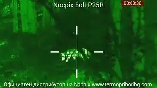 Nocpix Bolt P25R лов на чакали перфектна картина и ясен образ 