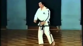 Tul - 4th to 5th Dan - Moon-Moo - Traditional ITF Taekwon-do