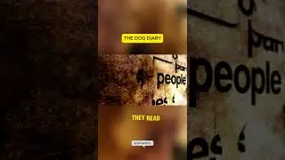 Dogs Judge Your Character Instantly🐶