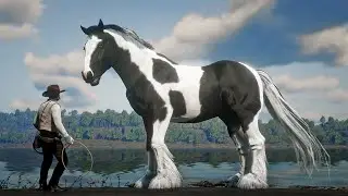 John Marston Tames Huge Gypys Cob Pie Bald Horse at Annesburg