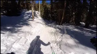 Crusty trail descent  (Buchanan Pass Trail, Middle Saint Vrain, Colorado)
