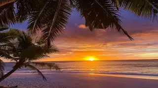 Jamaica Sunset Paradise