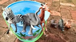 Dirty Muddy Zoo Animal Toys Getting Washed
