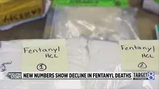 Fentanyl overdose deaths declining around Michigan