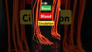 Boost Your Blood Circulation Naturally with These Powerful Foods!